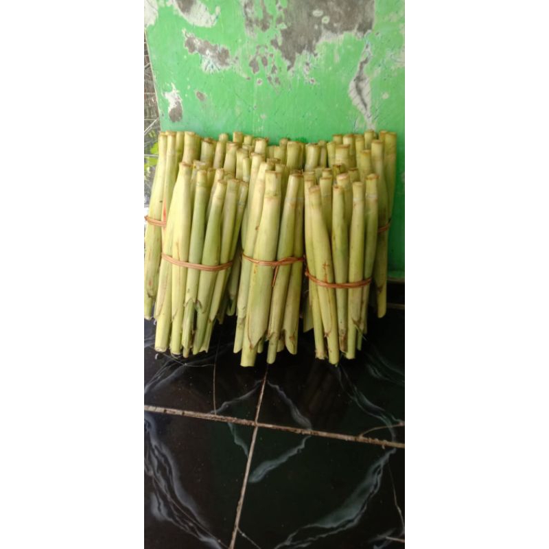 

sayuran terubus terubuk tebu telur