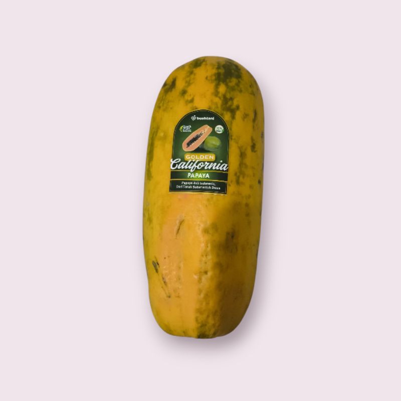 

Pepaya Golden Segar - Buah Tropis Bergizi & Kaya Serat