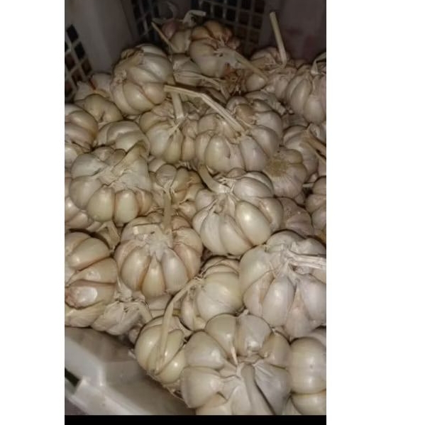 

Bawang putih sinco bersih 1 kg timbangan pas