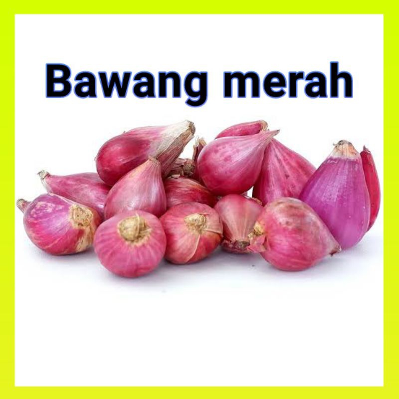 

Bawang Merah