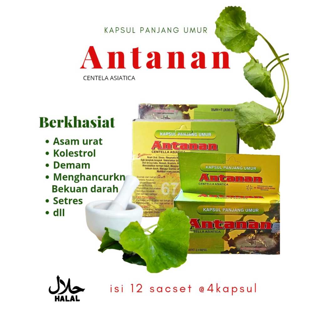 

keamasan kardus leaf racik pega-ga