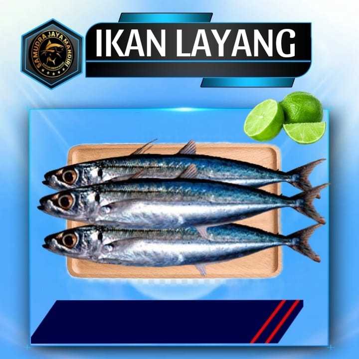 

Ikan Layang Segar Fresh Frozen Beku