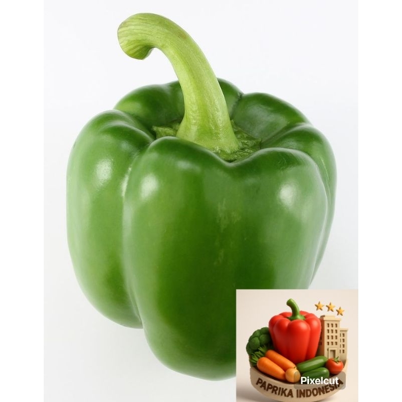 

paprika hijau