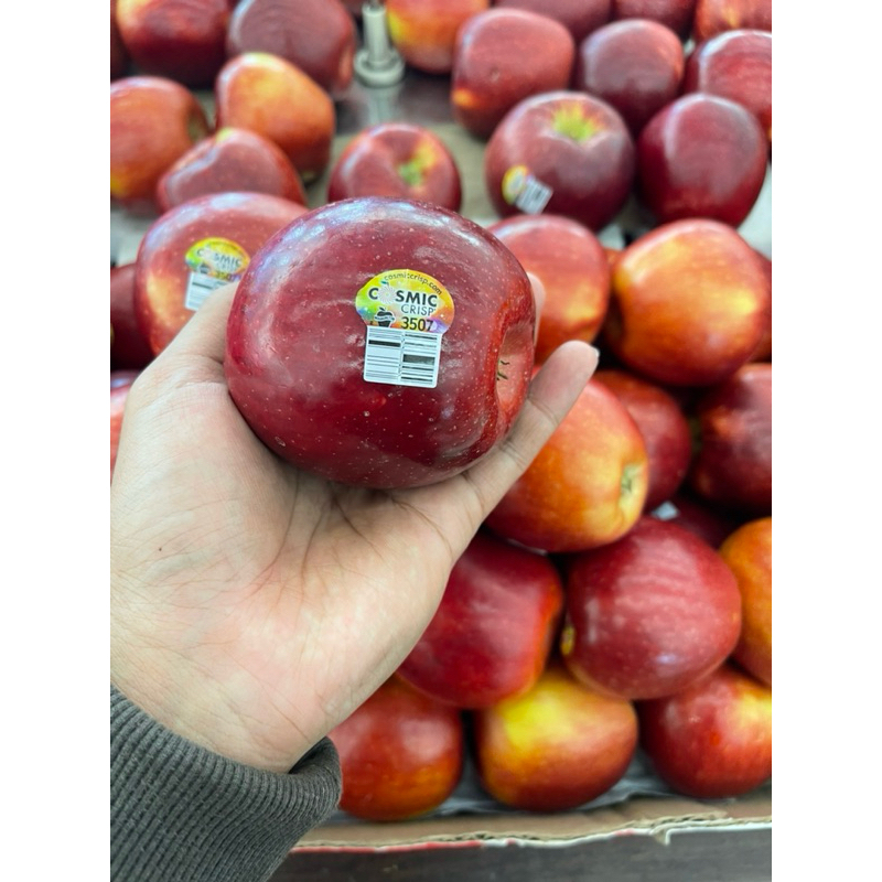 

Appel Cosmic Crips sweet 1 kg