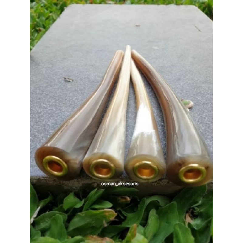 sedotan once pipa rokok tanduk kerbau super gemoy