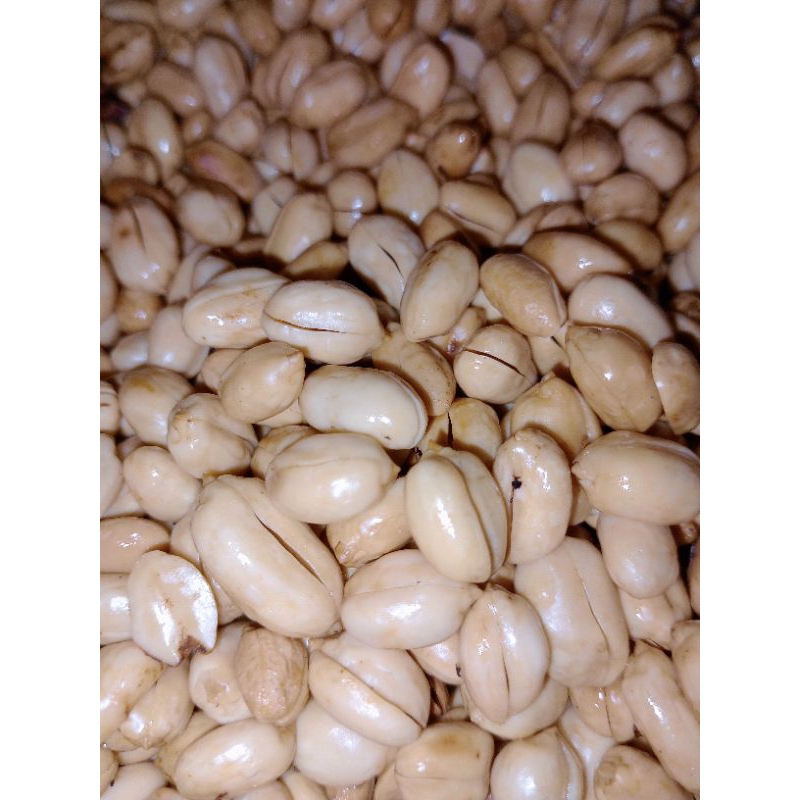 

kacang bawang 1000