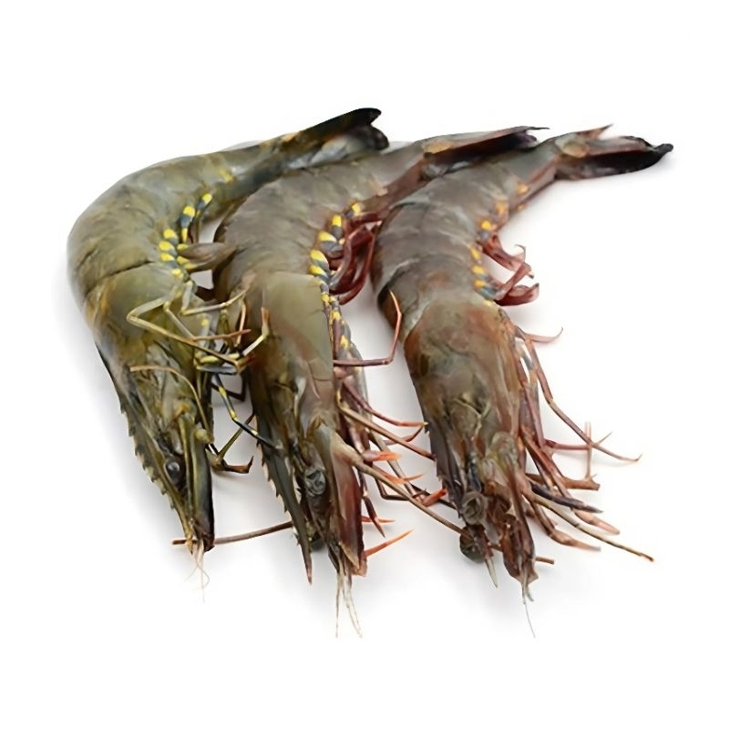 

Udang Fresh 250gram