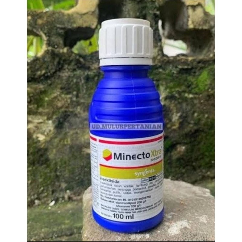 Minecto Xtra 100ml