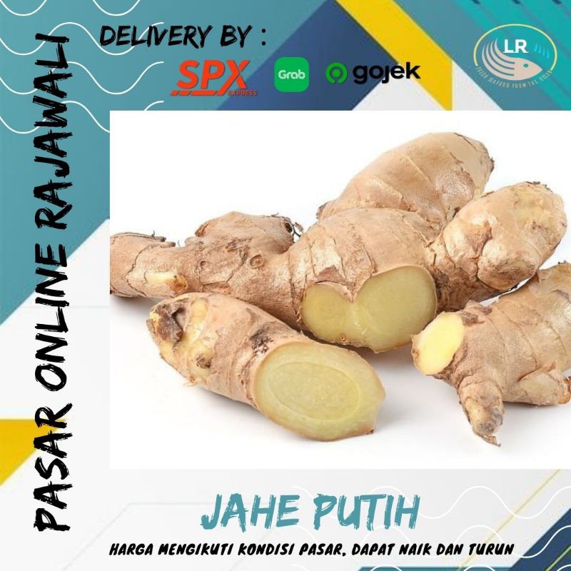 

Jahe putih