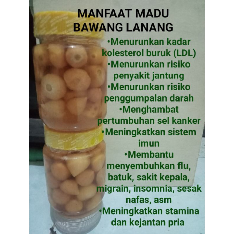

OBAT KUAT HERBAL, MADU BAWANG TUNGGAL, PRIA KUAT DIRANJANG