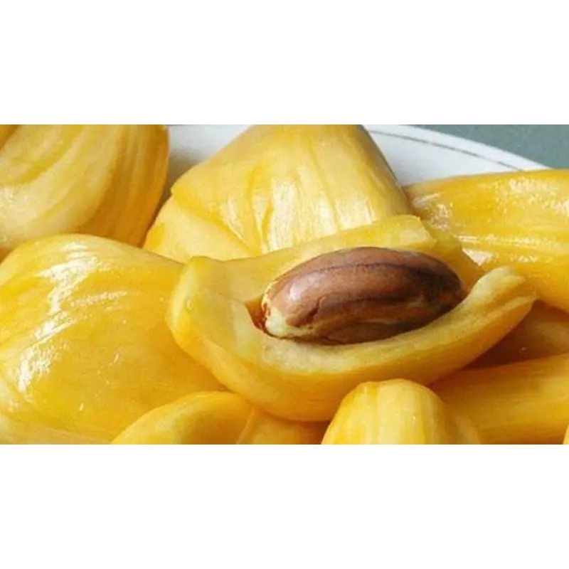 

Extra Topping Nangka