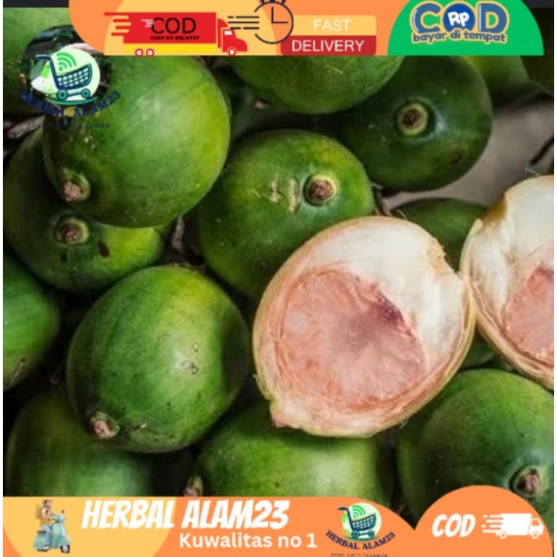 

Buah pinang muda / Jambe Muda