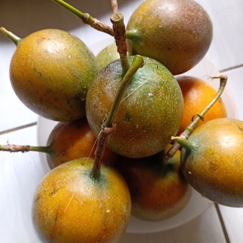 

MAARKISA MADU l/konyal super segar isi 1kg