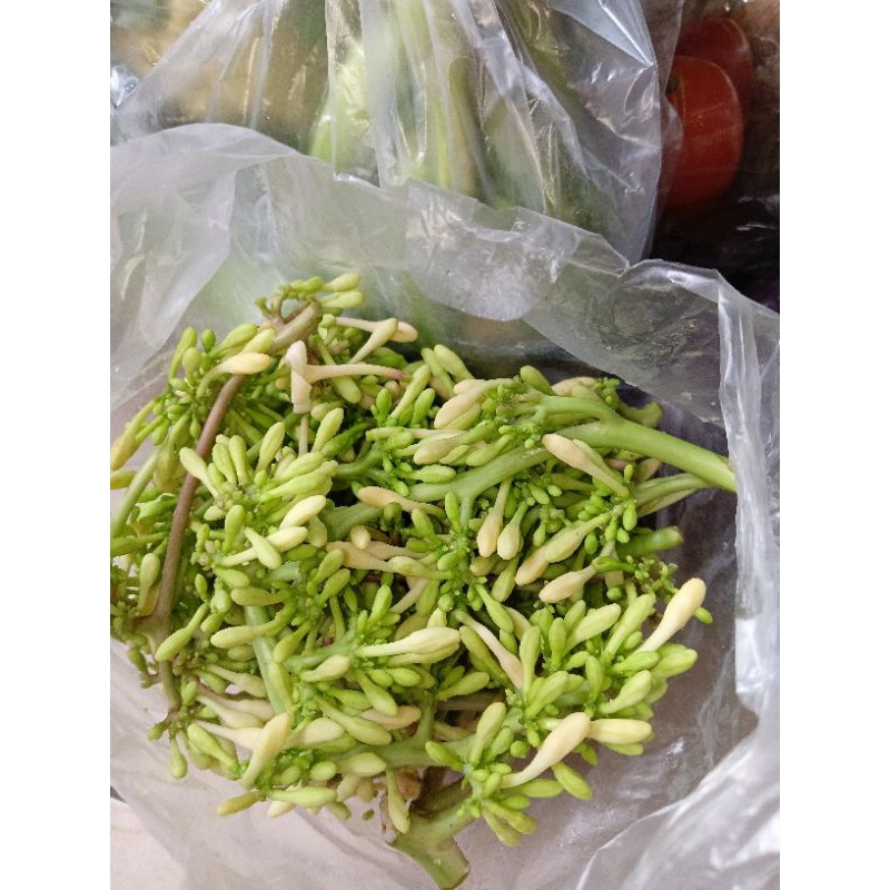 

Bunga Pepaya - PerBungkus