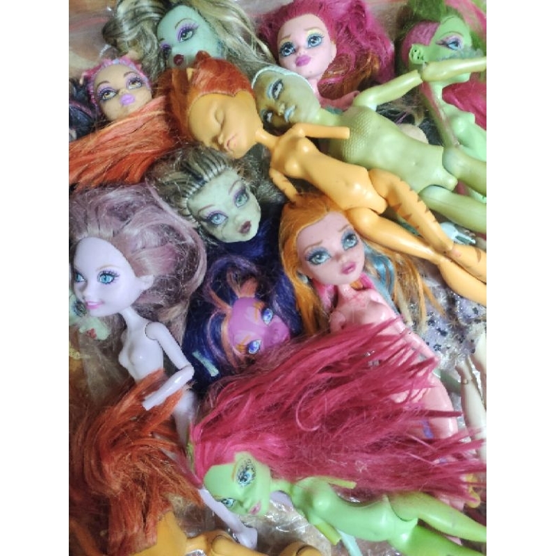 Monster high/ ever after high junk