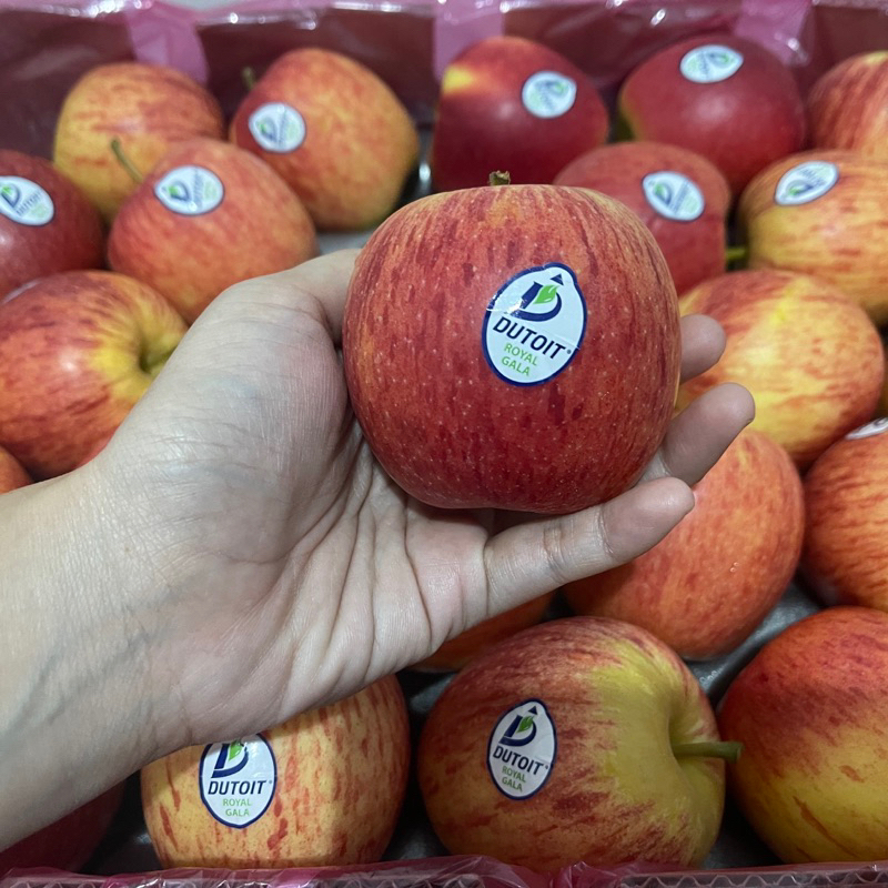 

Apel Royal Gala Afrika