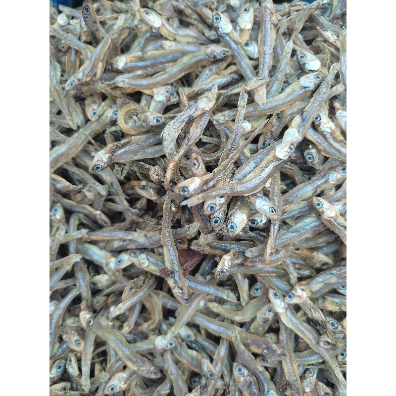 

Ikan teri lubuk buaya 250gram