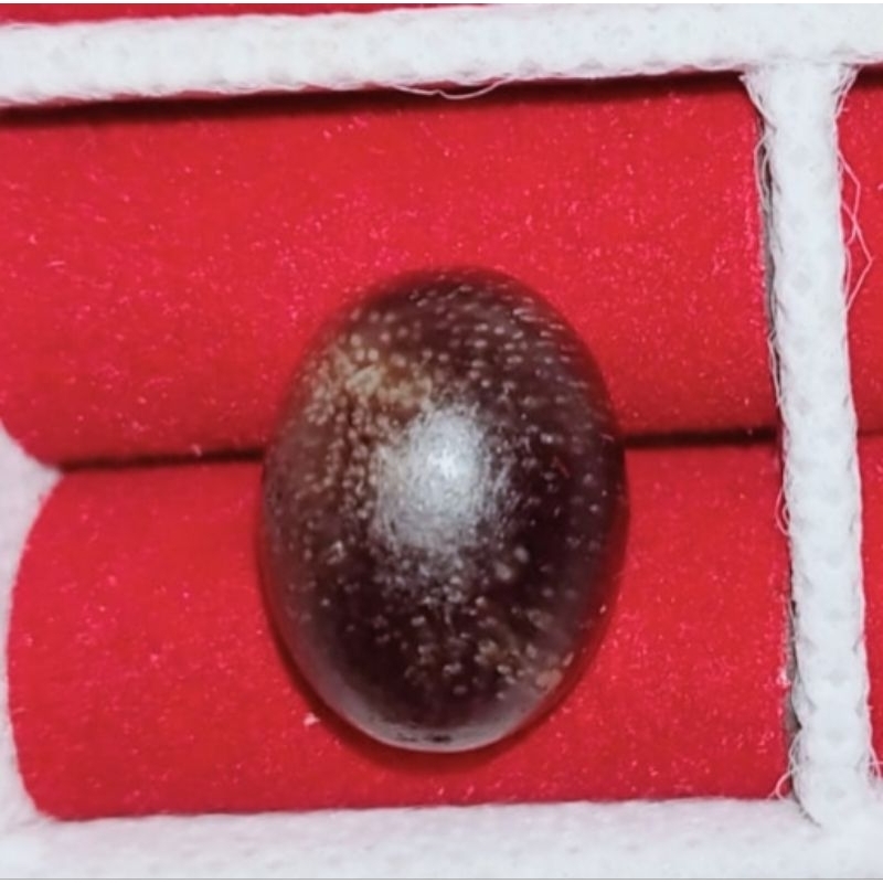 batu kelor merah asli