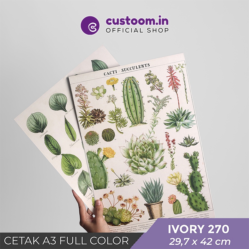 

Cetak A3 Full Color (29,7x42 cm) #Ivory 270 gsm - Cetak Full Colour - Custom | Custoom.in