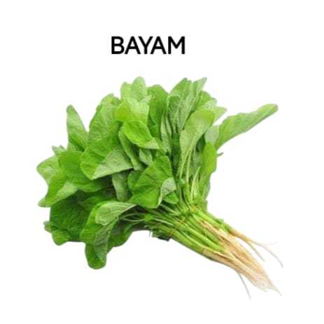 

Bayam Segarr Sayur Organik