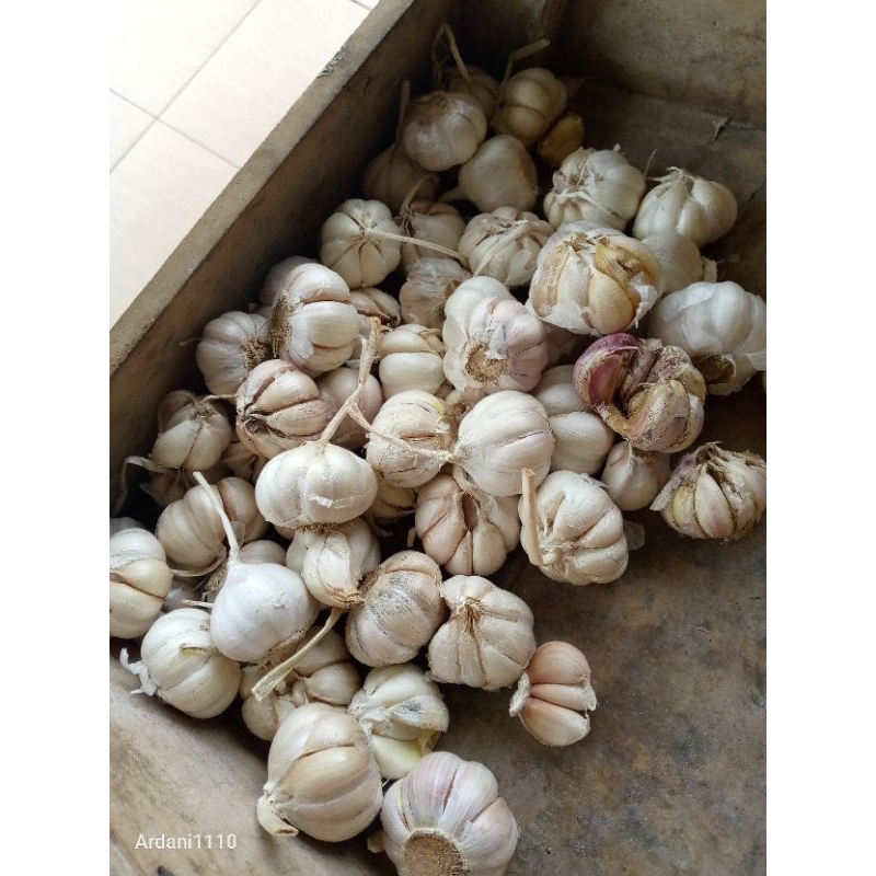 

bumbon bawang putih