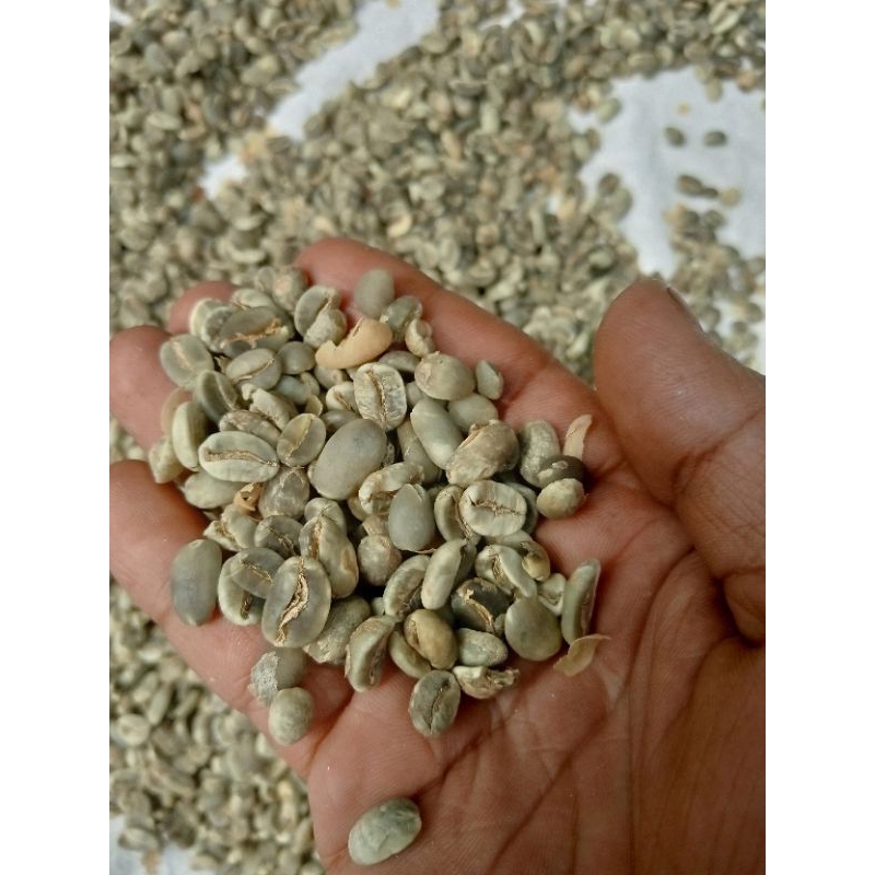 

kopi mentah, greendbean Arabika Asalan 500 grm petik merah proses full wash