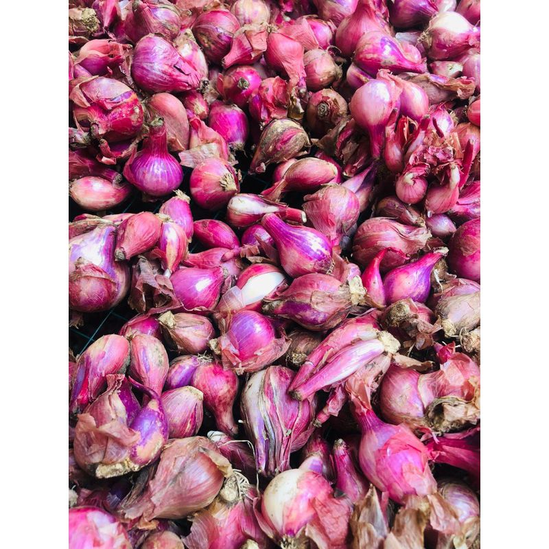 

Bawang Merah Bali