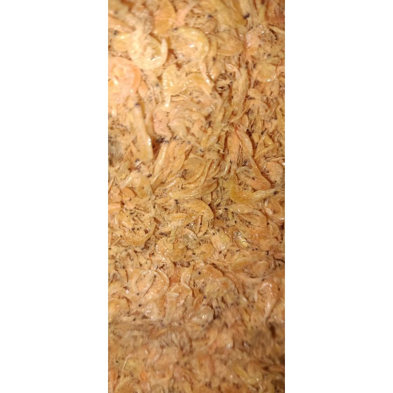 

Rebon udang kering tokociomama