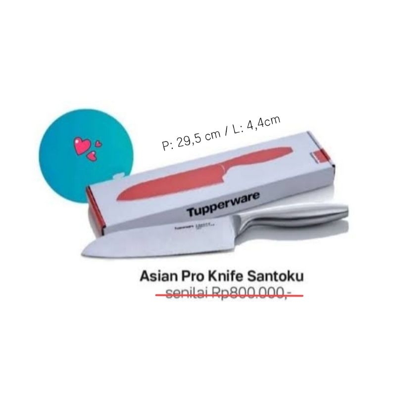 Asian Pro Knife Santoku
