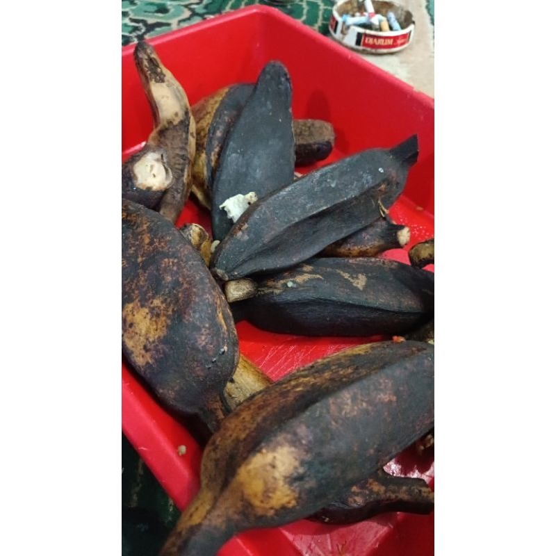 

Makanan sehat dan murah meriah
