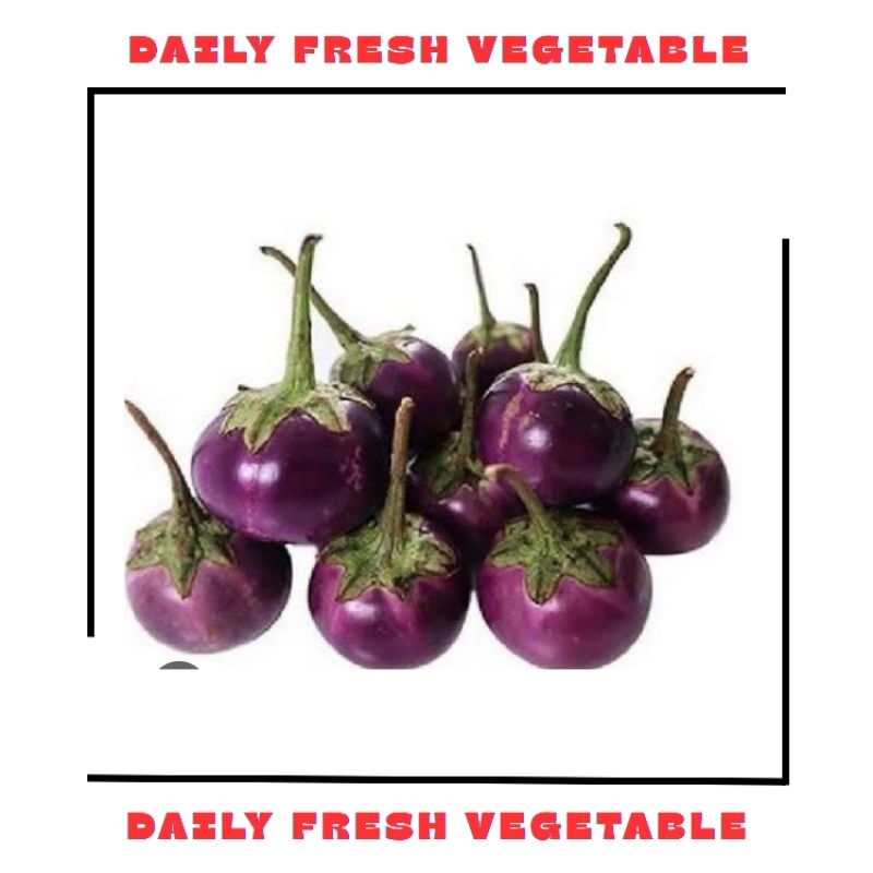

Terong Lalap Ungu Fresh 250gr