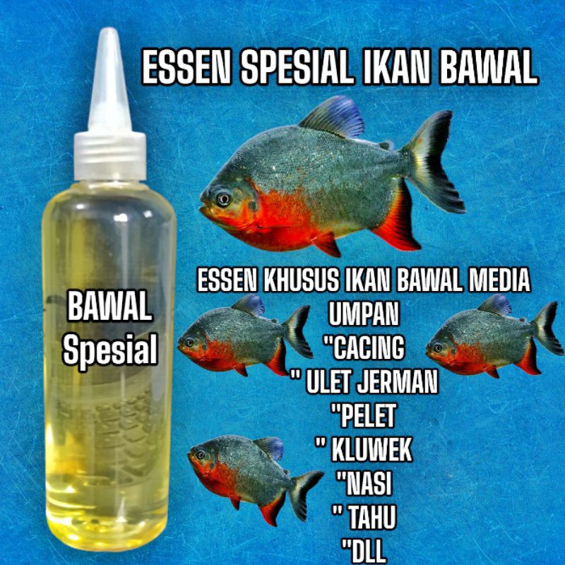 ESSEN KHUSUS IKAN BAWAL
