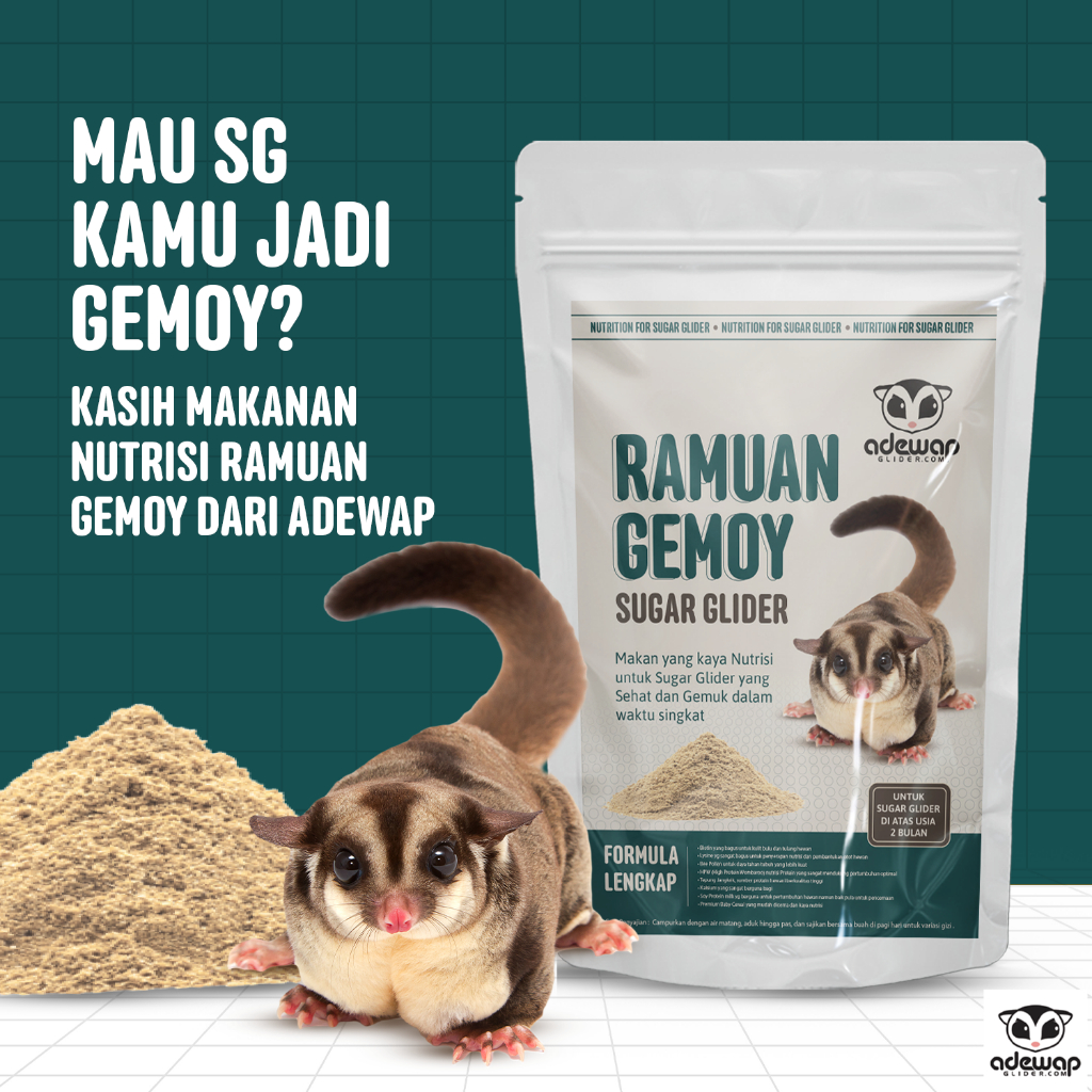 ADEWAP GLIDER Ramuan Gemoy Protein Premix Formula dan Nutrisi Komplit Sugar Glider