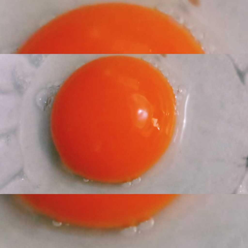 

Telur BEBEK OMEGA_Fresh (SELECTED)