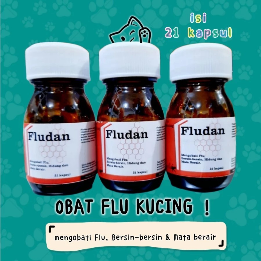 Fludan Obat Flu Pilek Kucing Cat Ampuh