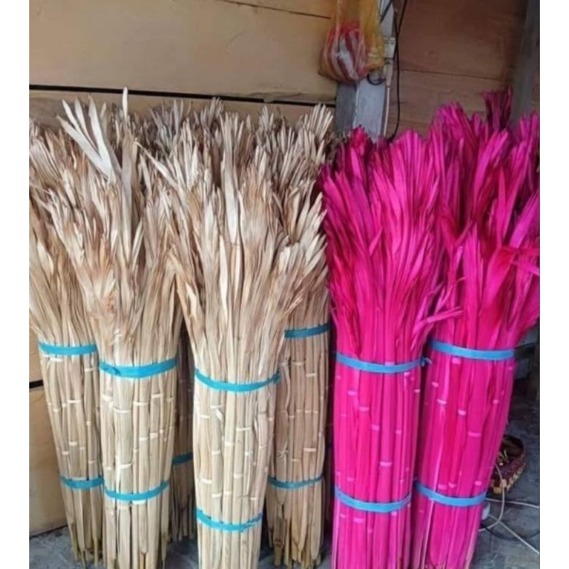 Busung Ibung Busung Sulawesi Busung Bali