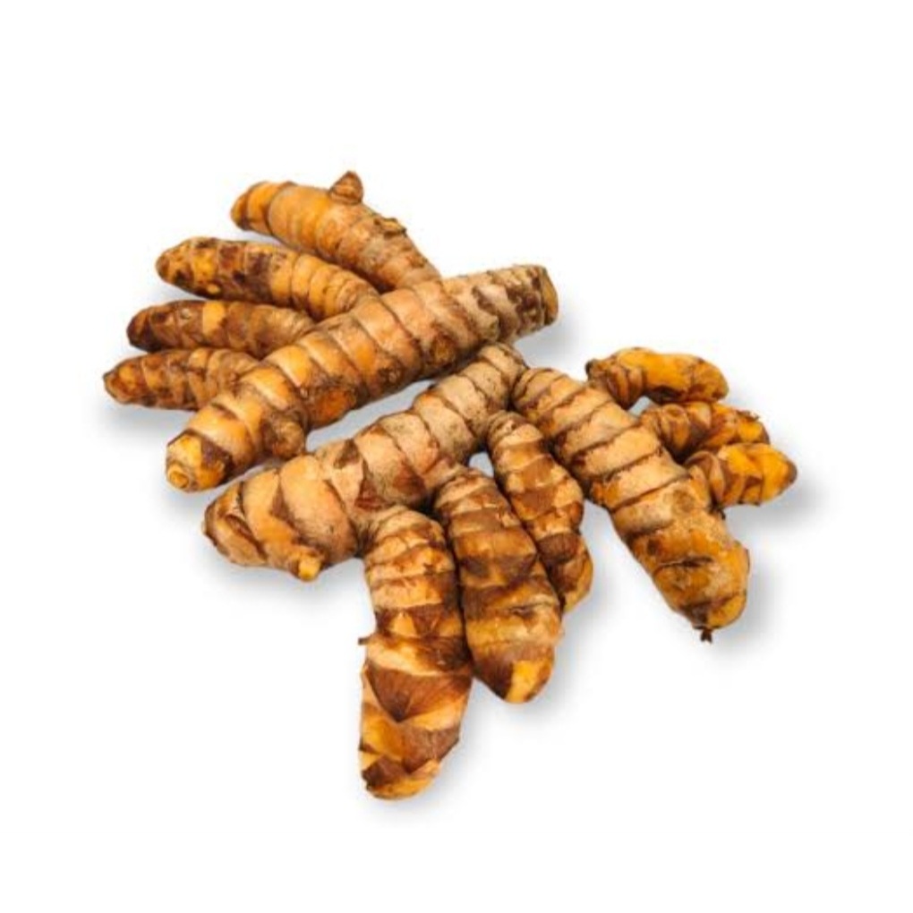 

Kunyit Segar 1Kg 500Gr Termurah