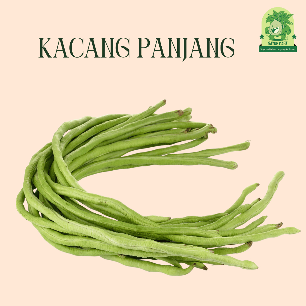 

Kacang Panjang
