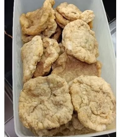 

pempek kulit isi isi 17