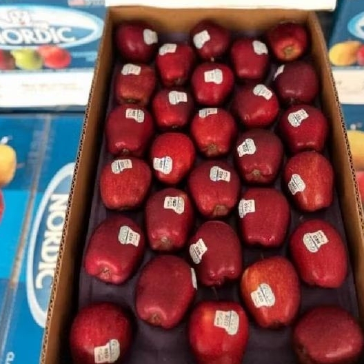 

apel Washington Red USA fresh