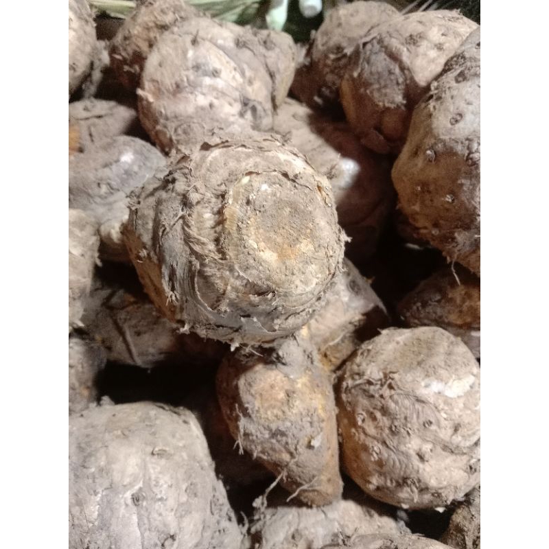 

TEMULAWAK1KG