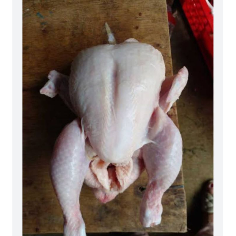 

ayam utuh 1kg