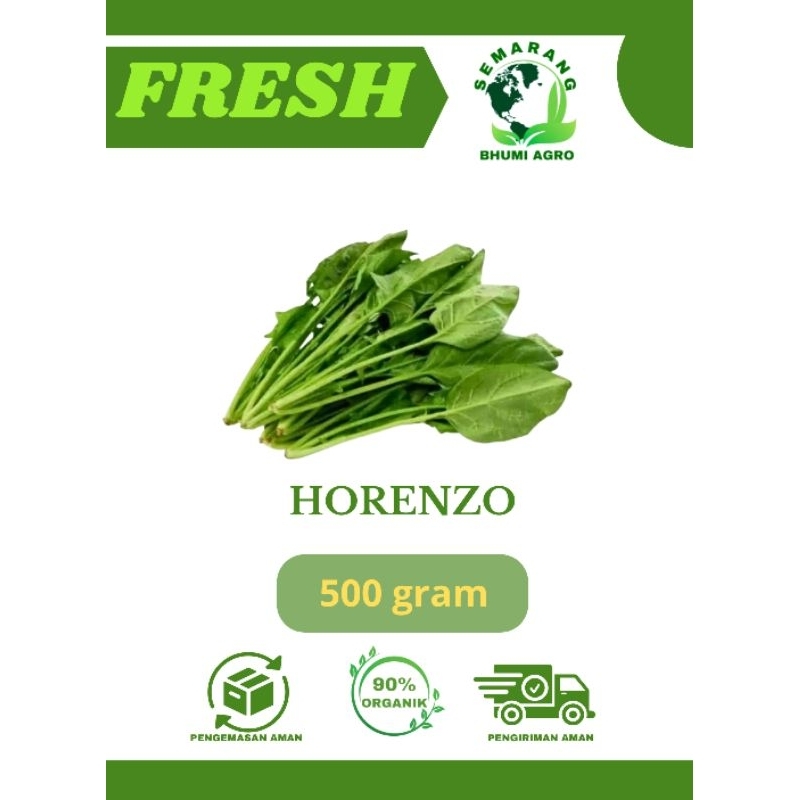 

Horenzo/ Bayam Jepang/ Poling Organik & Fresh – 500gr | BHUMI AGRO