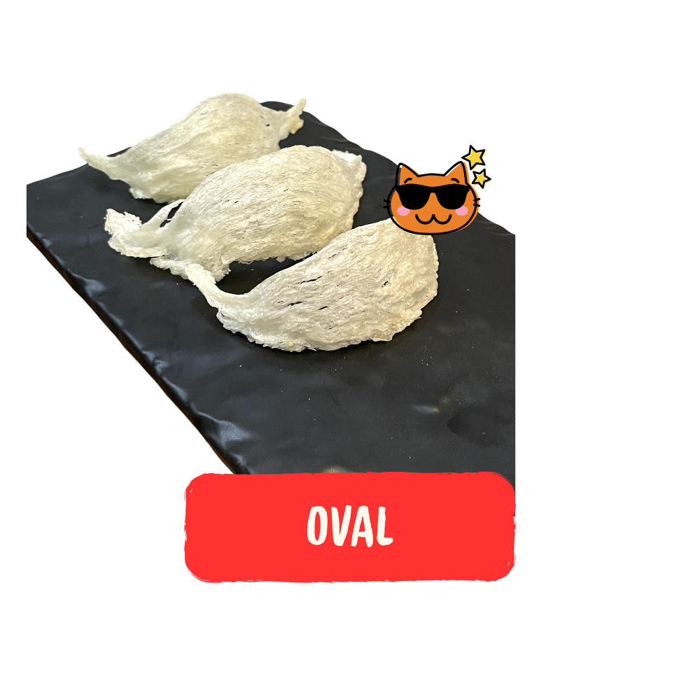 

Sarang Burung Walet / Bird Nest / Yan Wo / Yen Wo / 燕窝 - Oval