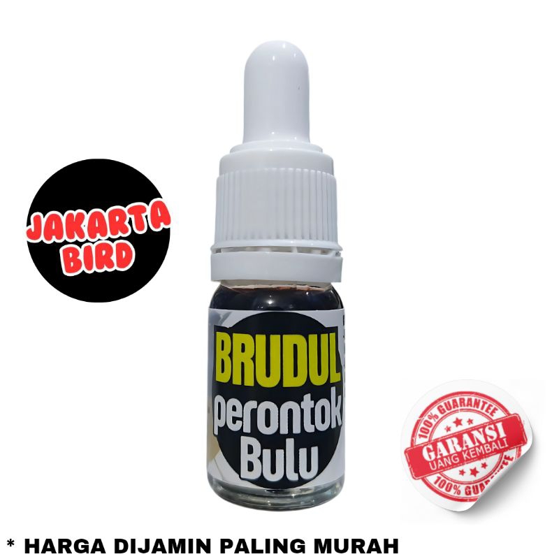 BRUDUL PERONTOK BULU BURUNG VITAMIN MOULTING BURUNG