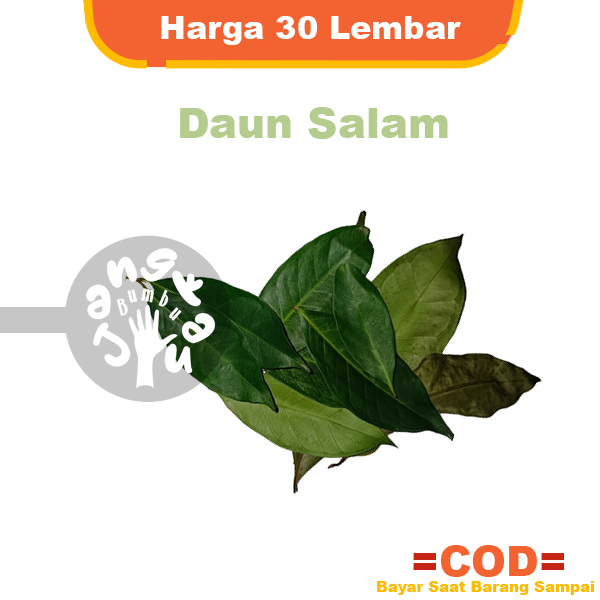 

Daun Salam Segar 30 Lembar Rempah Masakan Mudah Kering