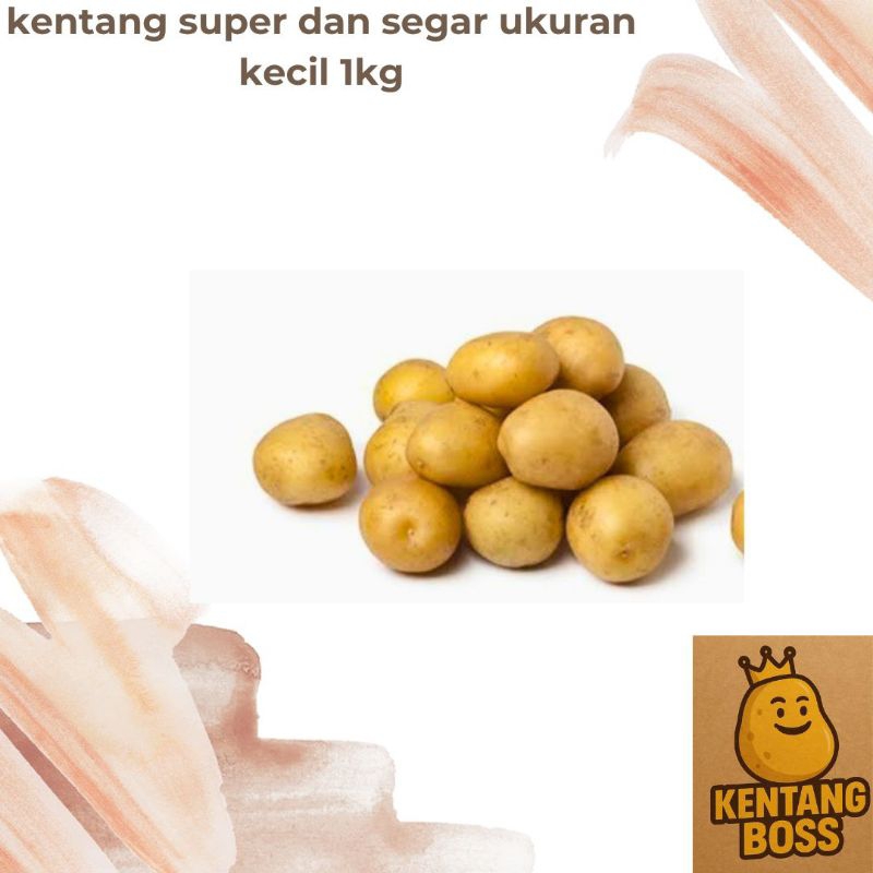 

KENTANG UKURAN KECIL 1 KG