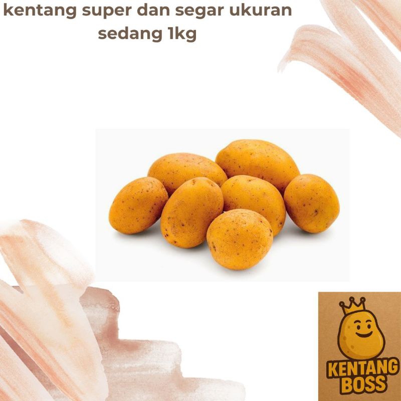 

KENTANG UKURAN sedang 1 kg