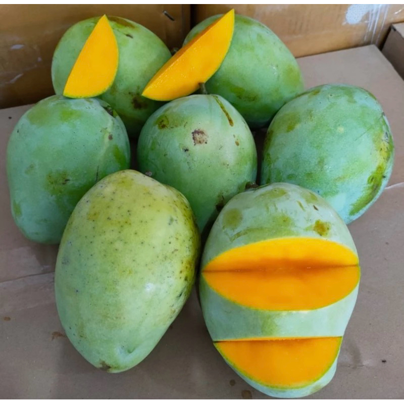 

mangga indramayu (3kg)