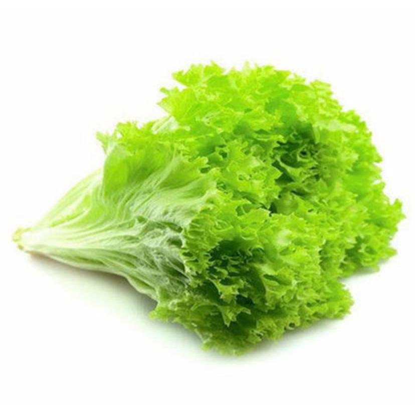 

Selada Segar 100gr Sayuran Daun untuk Salad Lalapan Burger dan Sandwich Kirim Instan